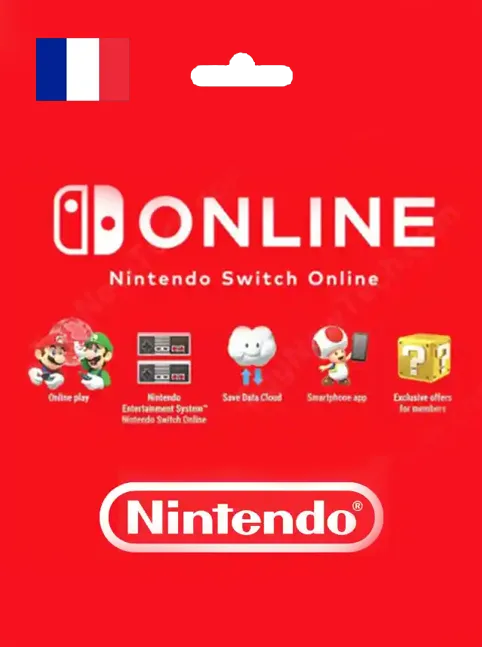 Nintendo Gift Card 3 Month FRANCE