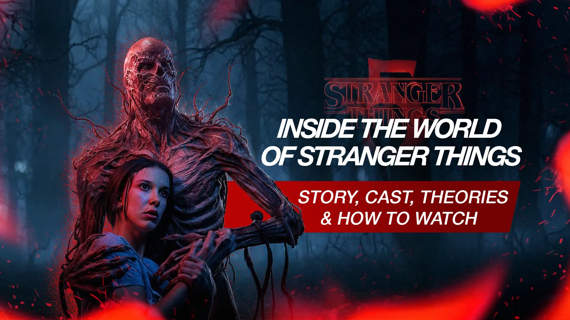 Inside the World of Stranger Things: Story, Cast, Theories & How to Watch