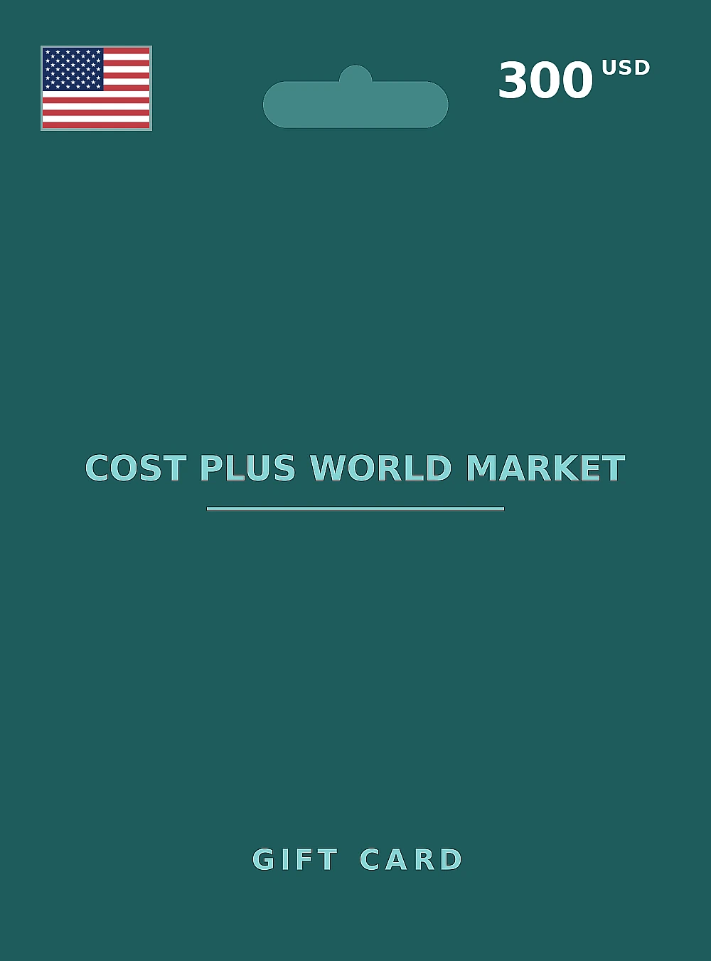 Cost Plus World Market Gift Card 300 USD UNITED STATES