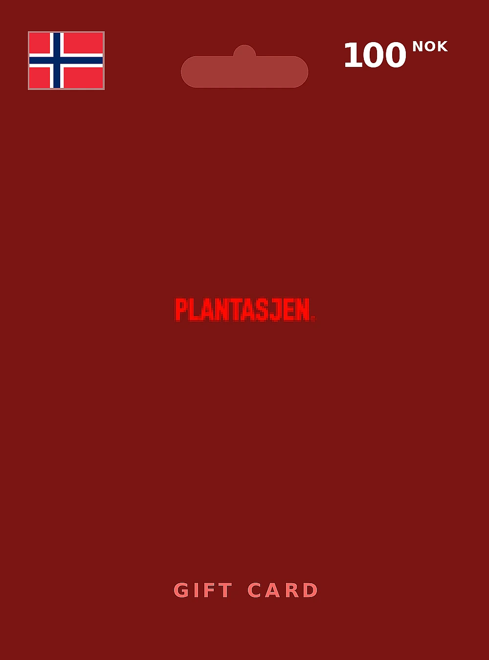 Plantasjen Gift Card 100 NOK NORWAY