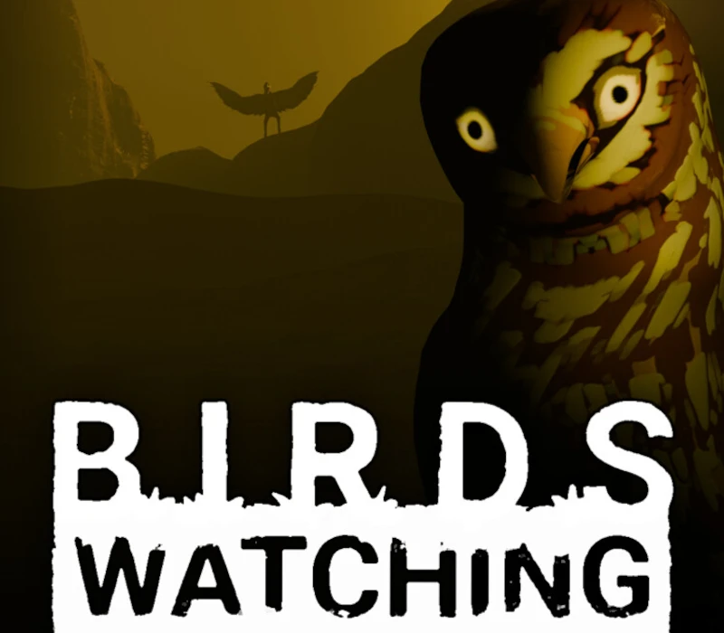 Birds Watching PC Steam CD Key