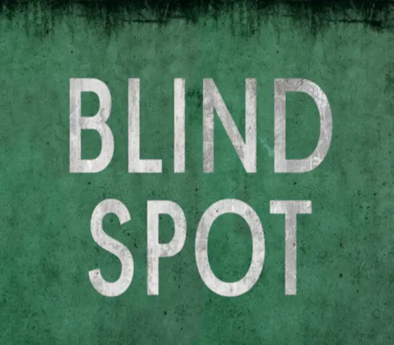 BLIND SPOT PC Steam CD Key