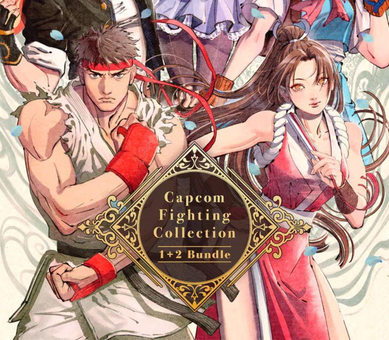 Capcom Fighting Collection 1 + 2 EU PC Steam CD Key