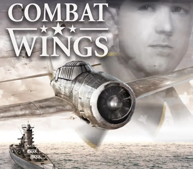 Combat Wings PC Steam CD Key GLOBAL
