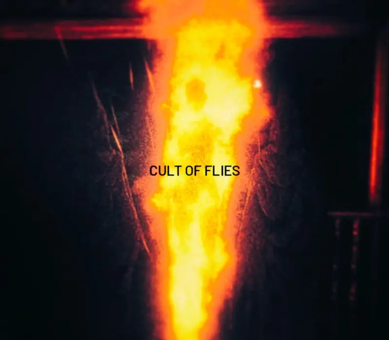 CULT OF FLIES PC Steam CD Key