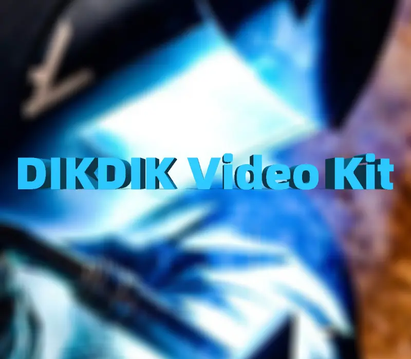 DIKDIK Video Kit 2025 PC Steam CD Key