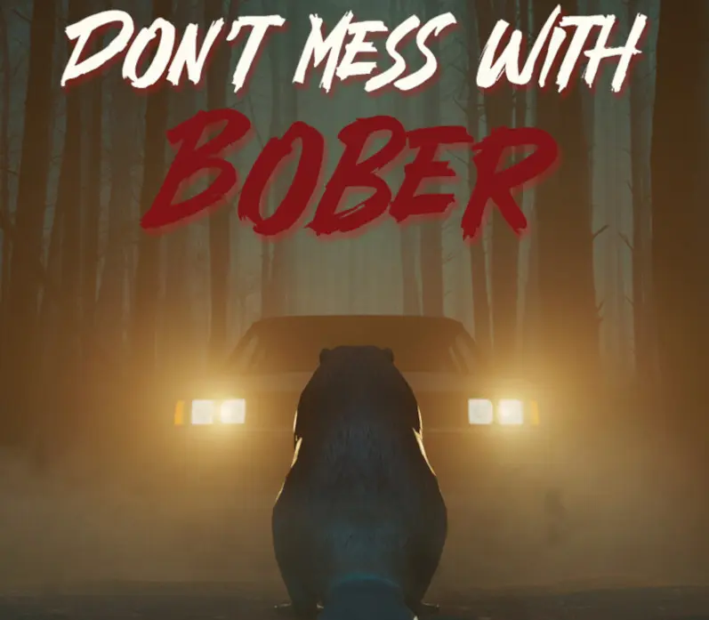 Don't Mess With Bober EU PS5 CD Key