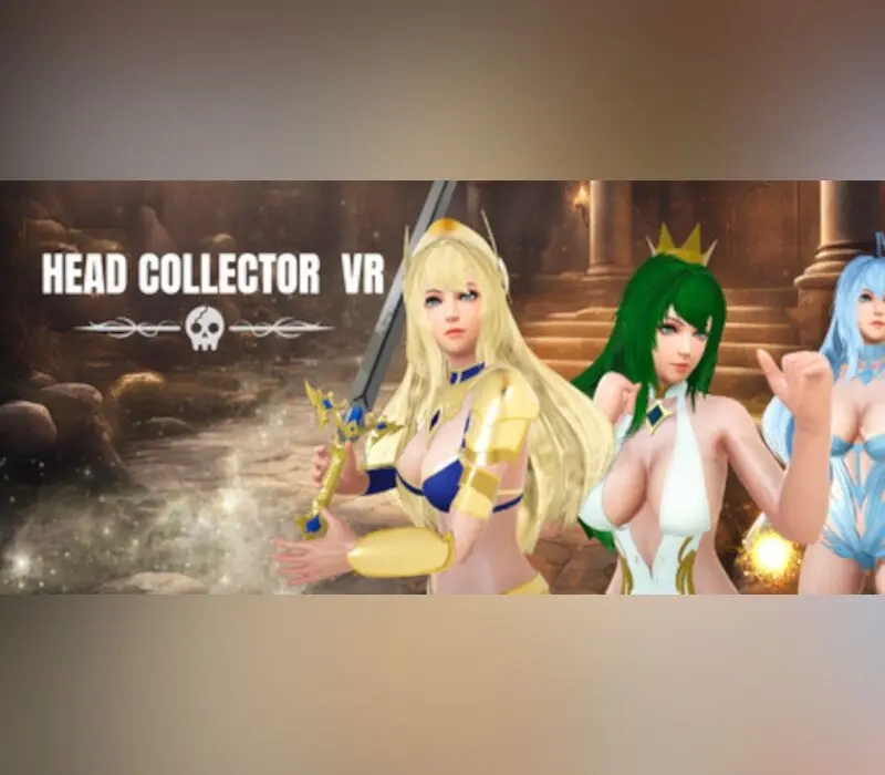 Head Collector VR PC Steam CD Key