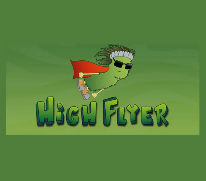  High Flyer PC Steam CD Key 