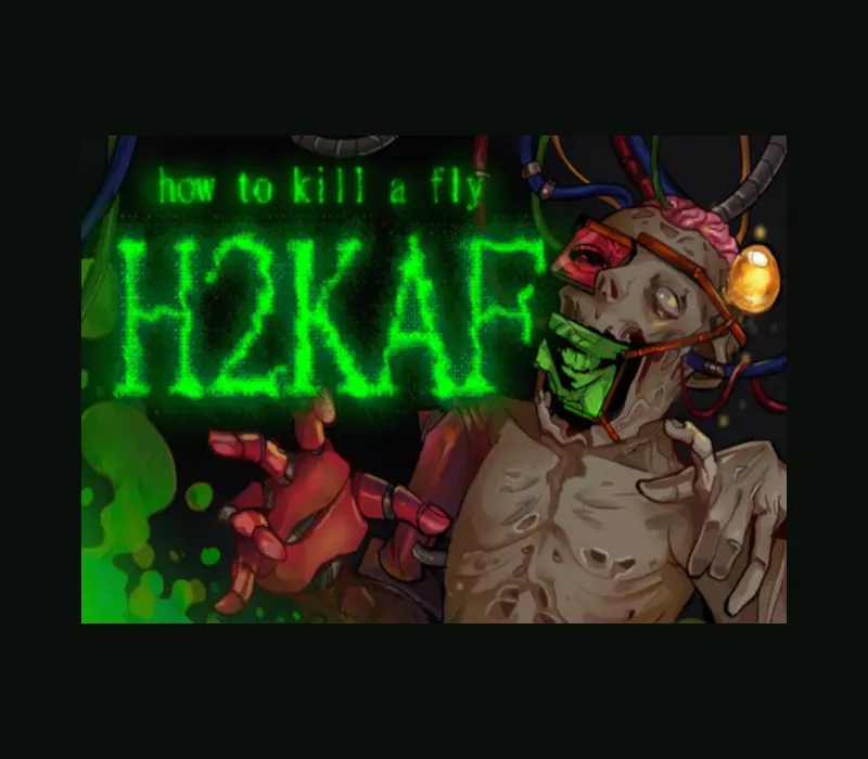 how to kill a fly H2KAF PC Steam CD Key