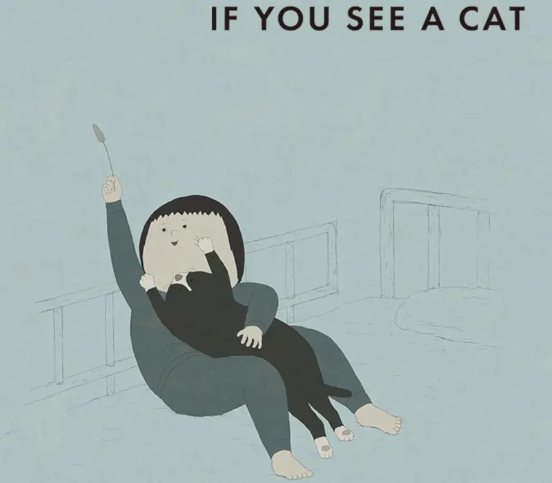 IF YOU SEE A CAT PC Steam CD Key