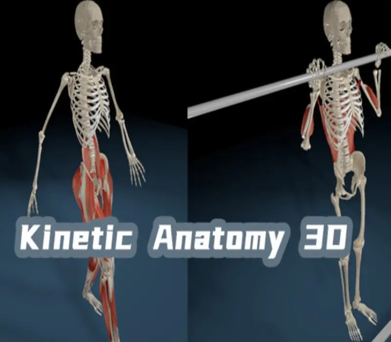 Kinetic Anatomy 3D PC Steam CD Key