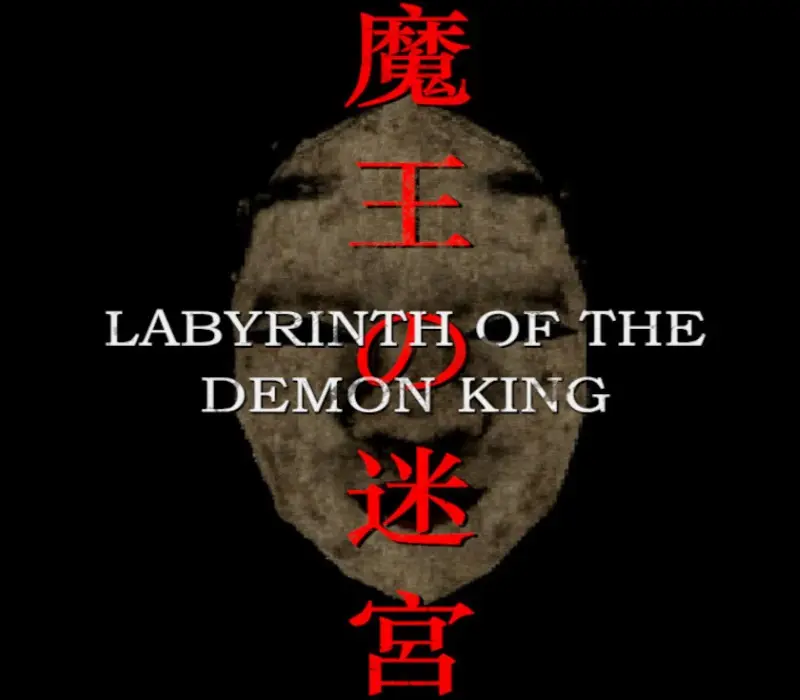 Labyrinth Of The Demon King PC Steam CD Key