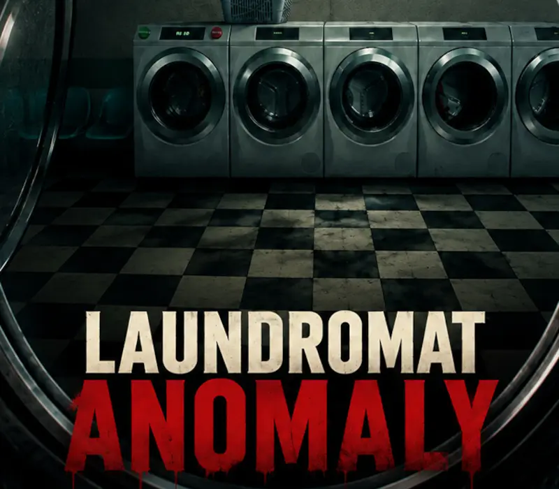 Laundromat Anomaly PC Steam CD Key