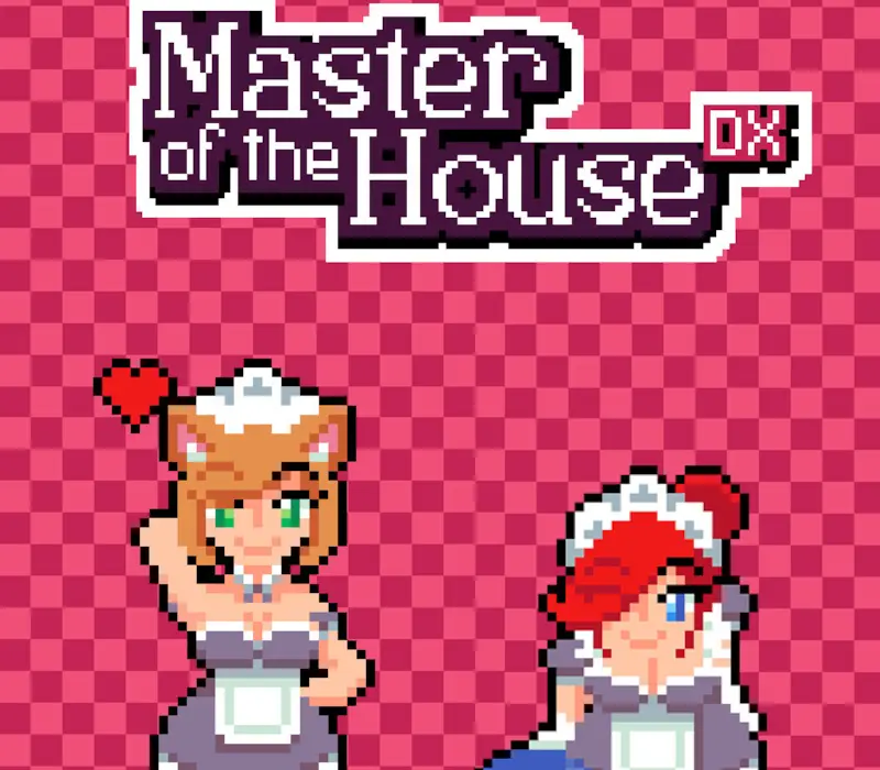 Master of the House DX PC Steam CD Key