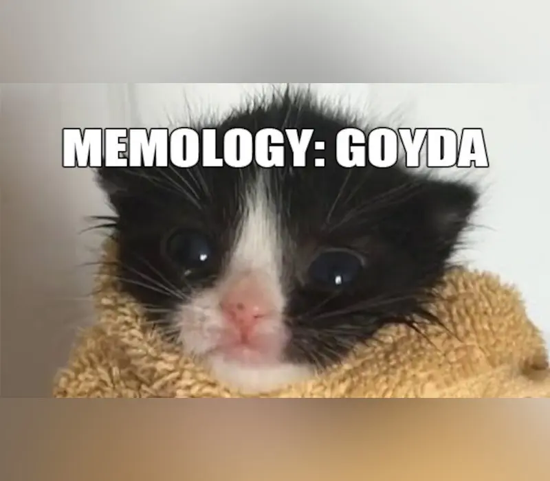 MEMOLOGY: GOYDA EU PC Steam CD Key