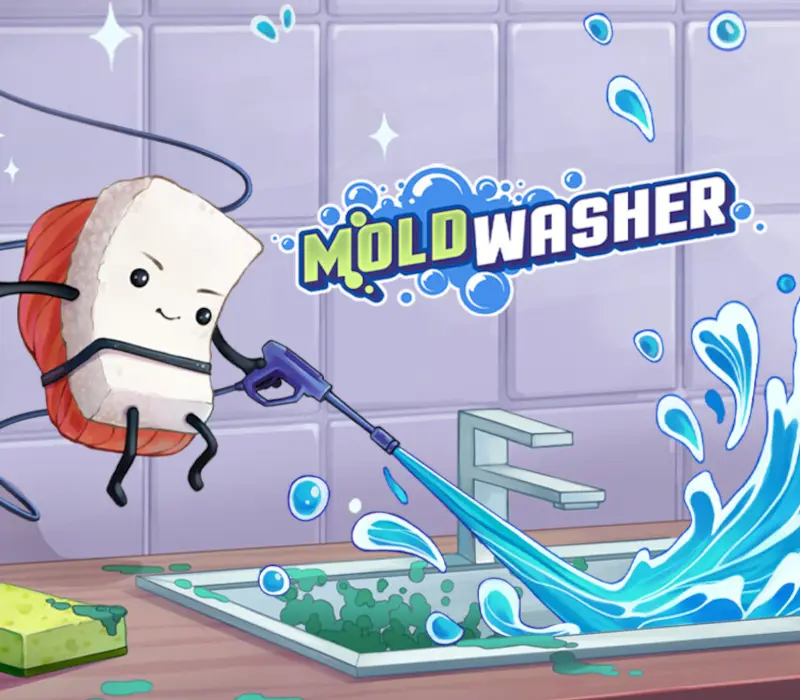 Moldwasher PC Steam CD Key