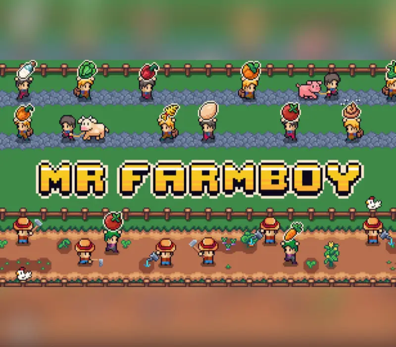 MR FARMBOY PC Steam CD Key (valid until June 2027)