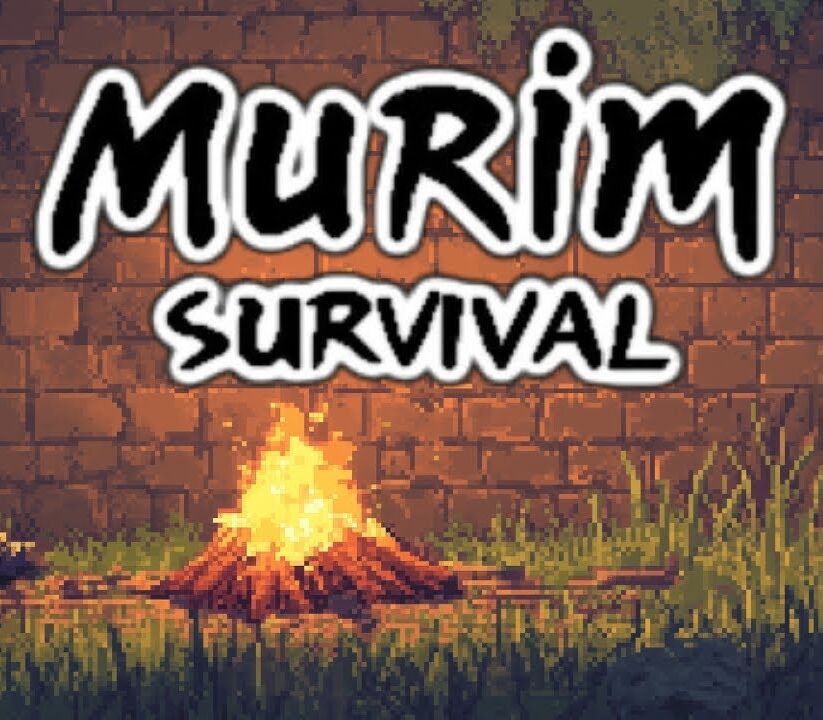 Murim Survival PC Steam CD Key