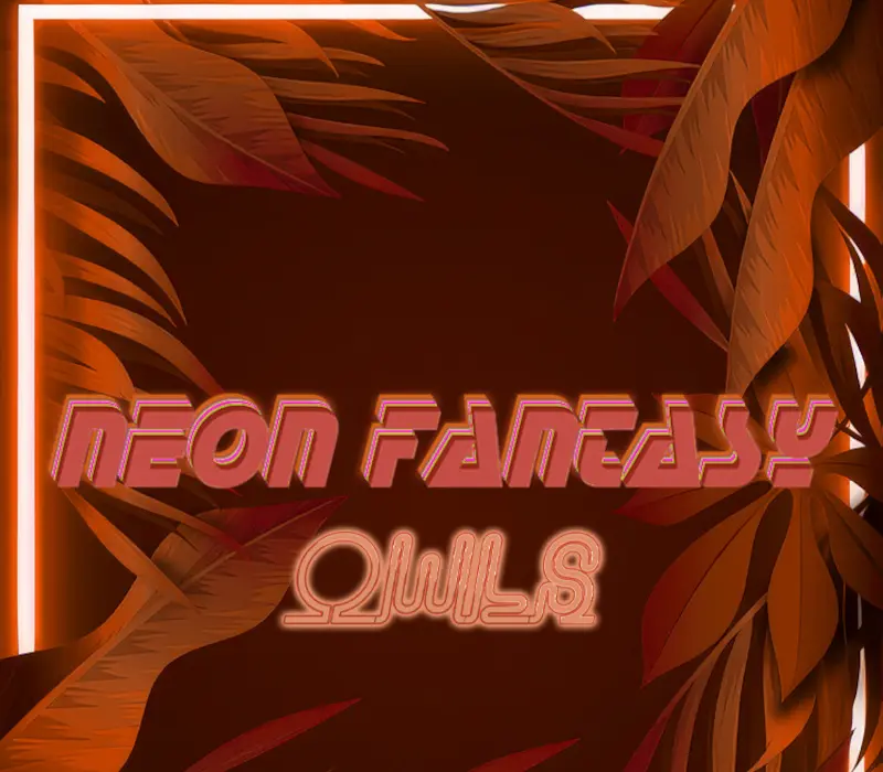 Neon Fantasy: Owls PC Steam CD Key
