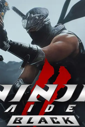 NINJA GAIDEN 2 Black NA PC Steam CD Key