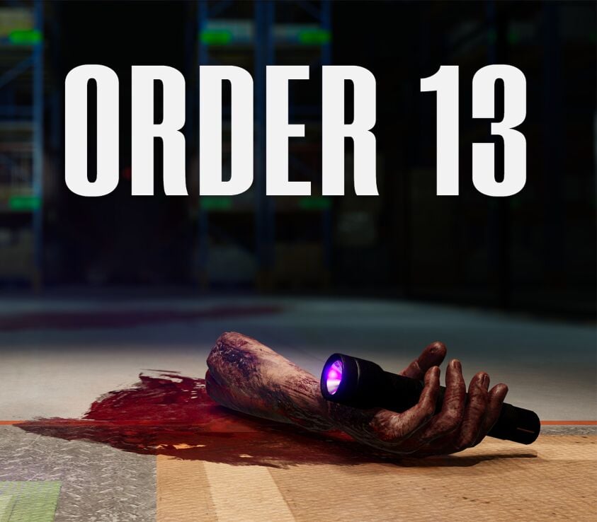 ORDER 13 EU PC Steam CD Key