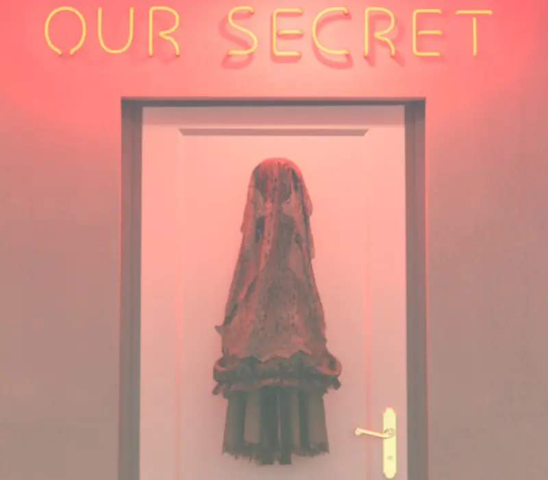 Our Secret: Price of Forbidden Wishes PC Steam CD Key