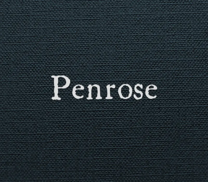 Penrose PC Steam CD Key