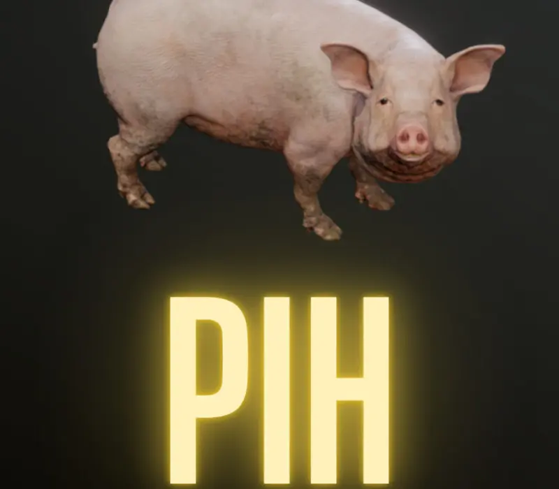 Pih PC Steam CD Key