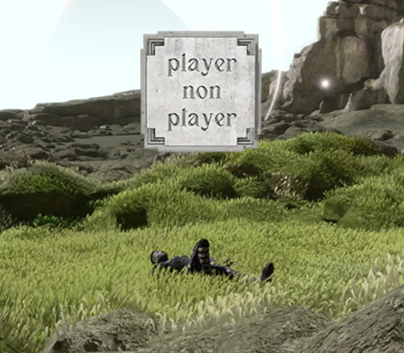 Player Non Player Steam CD Key