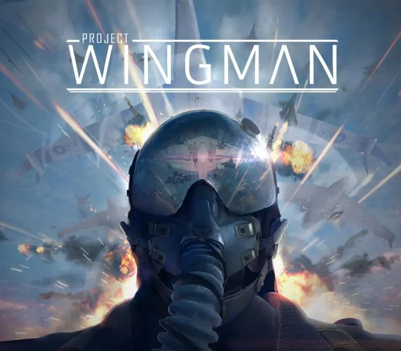 Project Wingman LATAM PC Steam CD Key