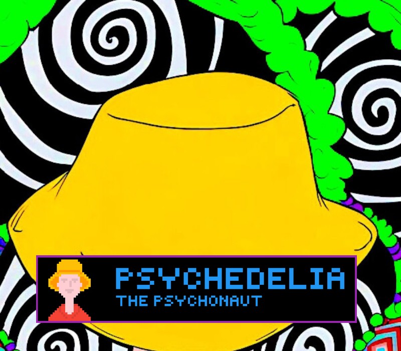 Psychedelia: The Psychonaut PC Steam CD Key
