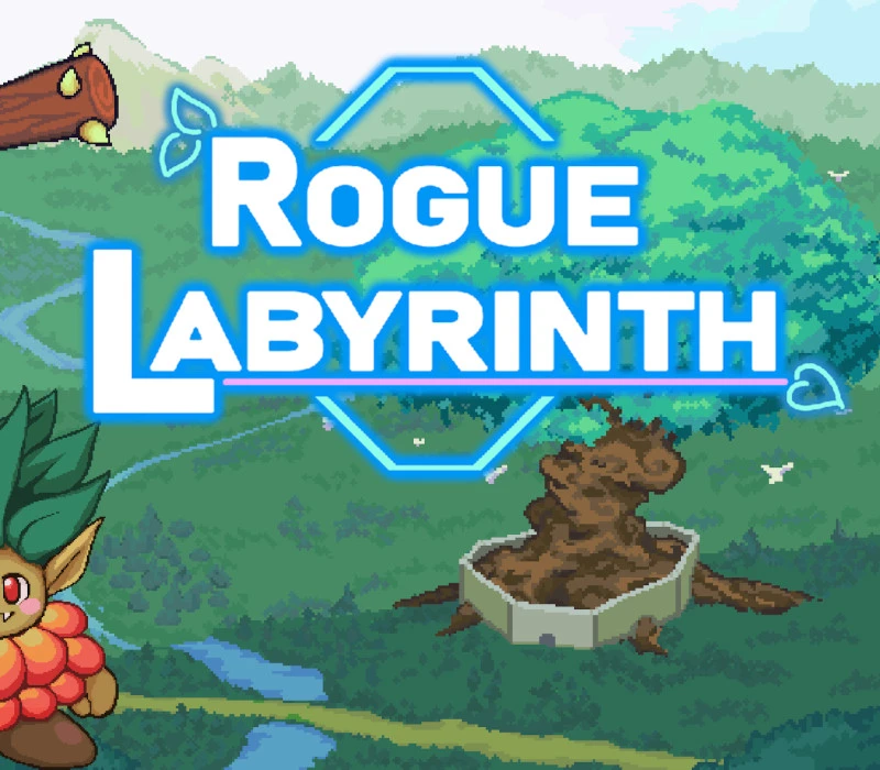 Rogue Labyrinth EU PC Steam CD Key