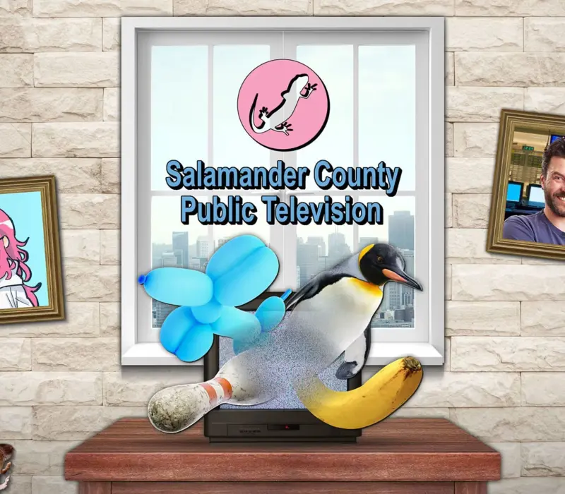 Salamander County Public Television Steam CD Key