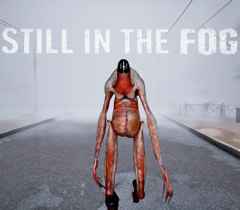Still in the Fog PC Steam CD Key