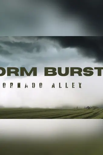 Storm Burst: Tornado Alley PC Steam CD Key