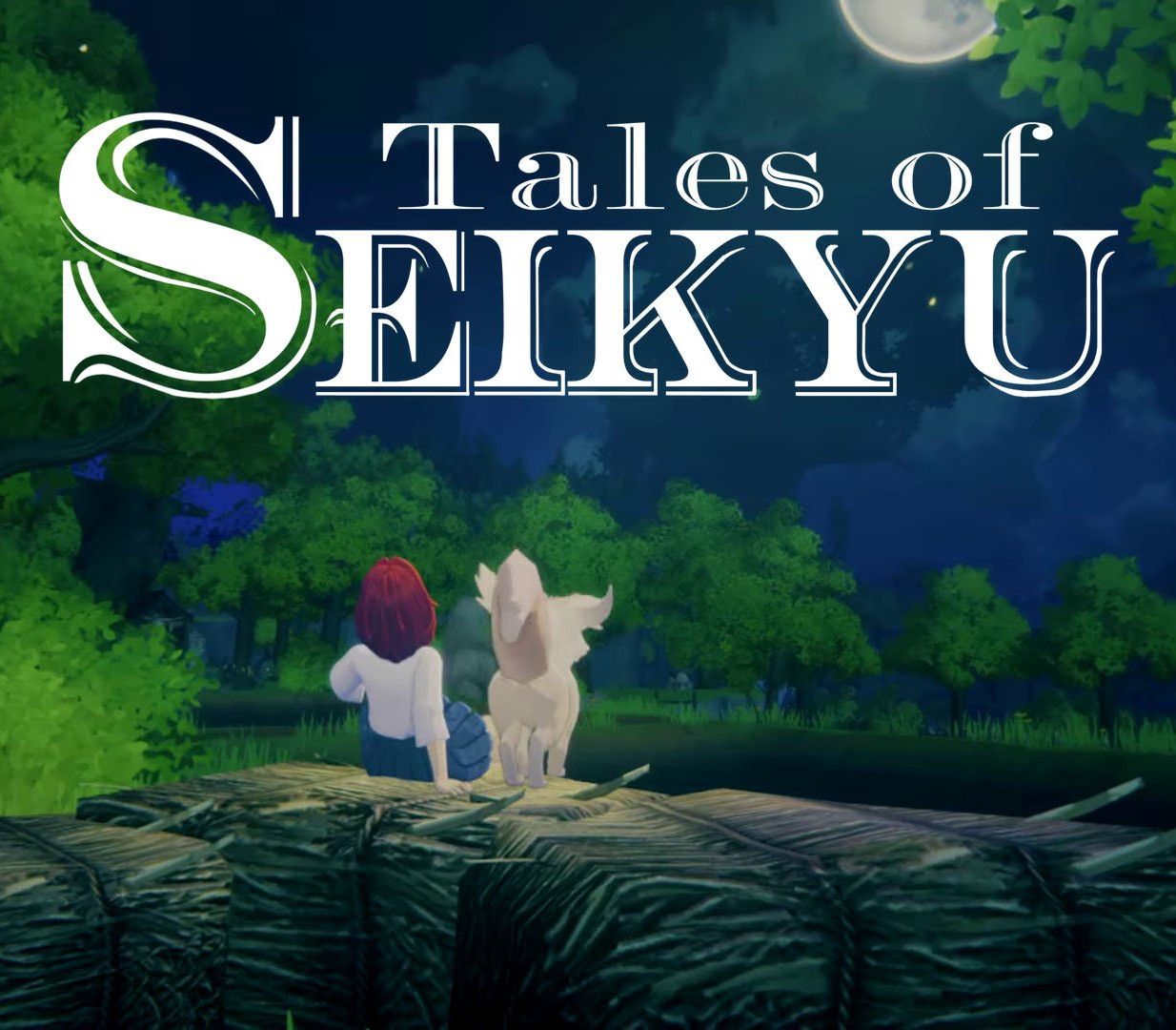 Tales of Seikyu LATAM PC Steam CD Key