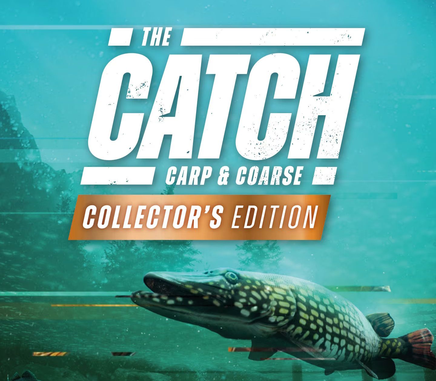 The Catch: Carp & Coarse Fishing Collector's Edition EU XBOX One / Xbox Series X|S CD Key