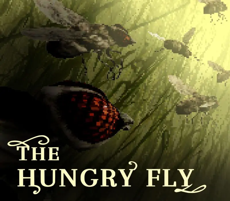 The Hungry Fly PC Steam CD Key