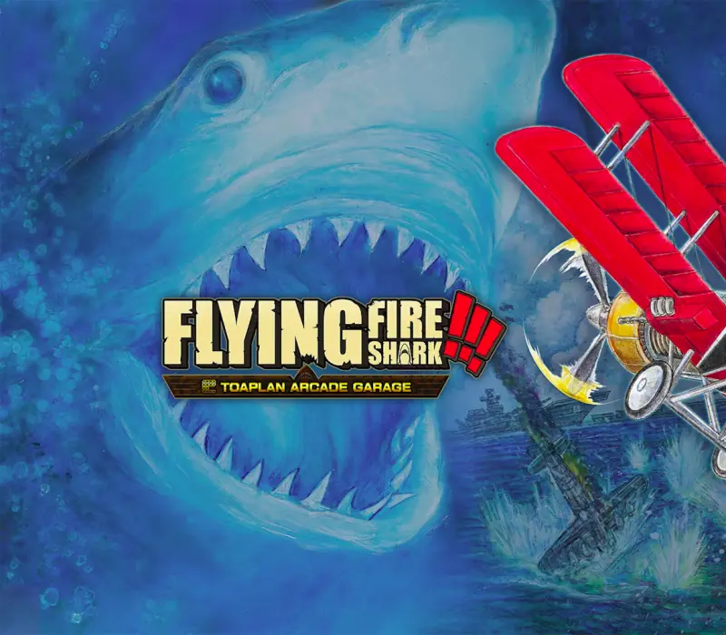 Toaplan Arcade Garage: Flying Fire Shark Nintendo Switch CD Key EU