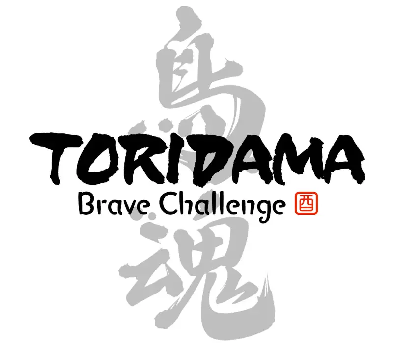 TORIDAMA: Brave Challenge Steam CD Key