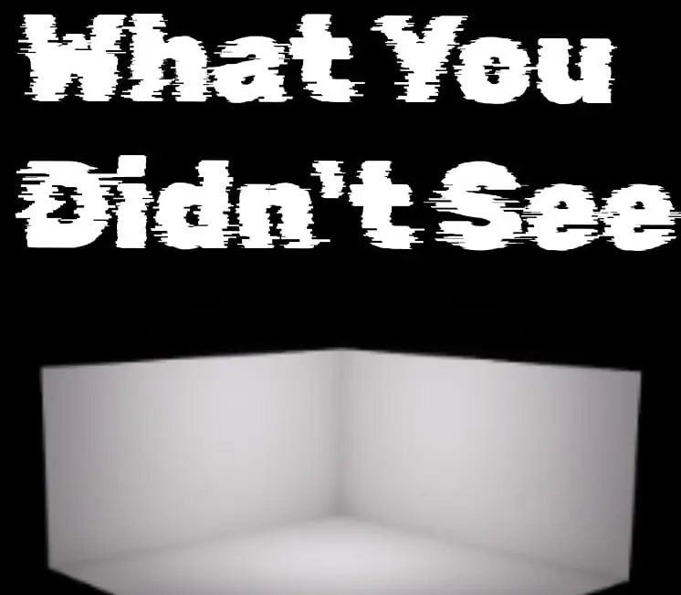 What You Didn't See PC Steam CD Key