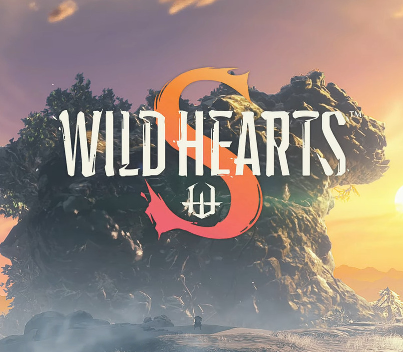 WILD HEARTS S NA Nintendo Switch 2 CD Key