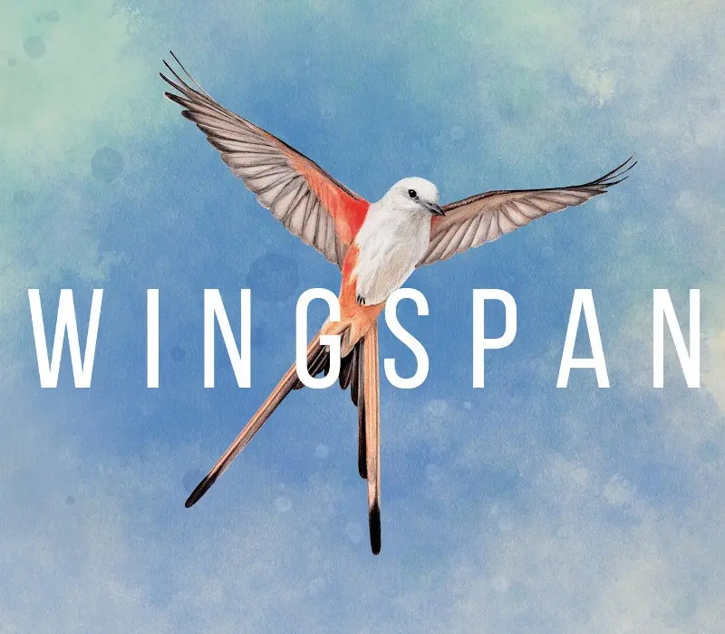 Wingspan EU XBOX One / Xbox Series X|S CD Key