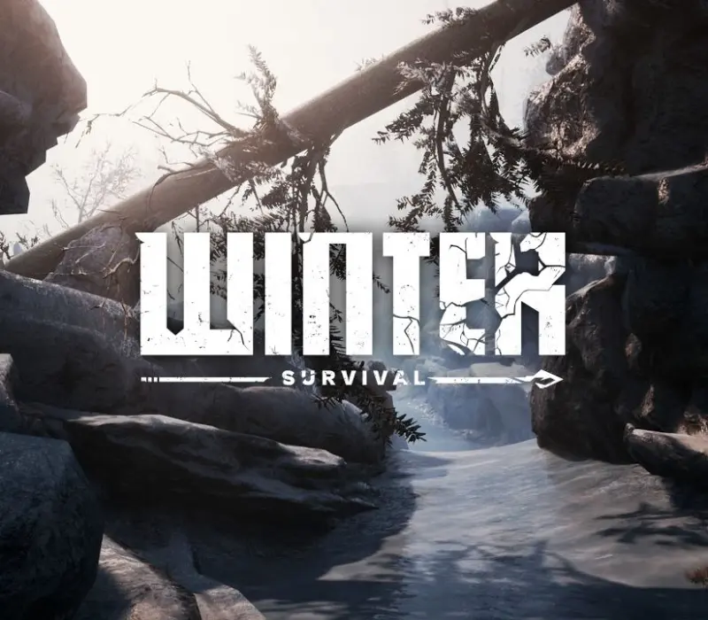 Winter Survival EU Steam CD Key