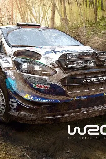 WRC 9 FIA World Rally Championship ASIA PC Steam CD Key