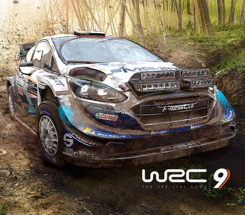 WRC 9 FIA World Rally Championship PC Steam CD Key (valid until February 2027)